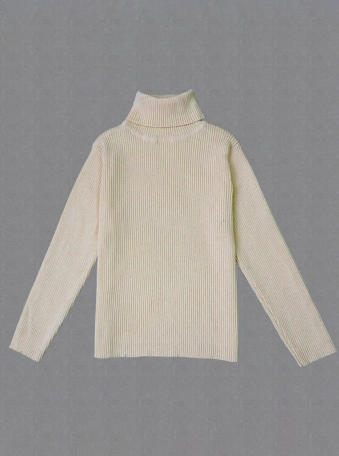 Basic Turtle Neck Sweater