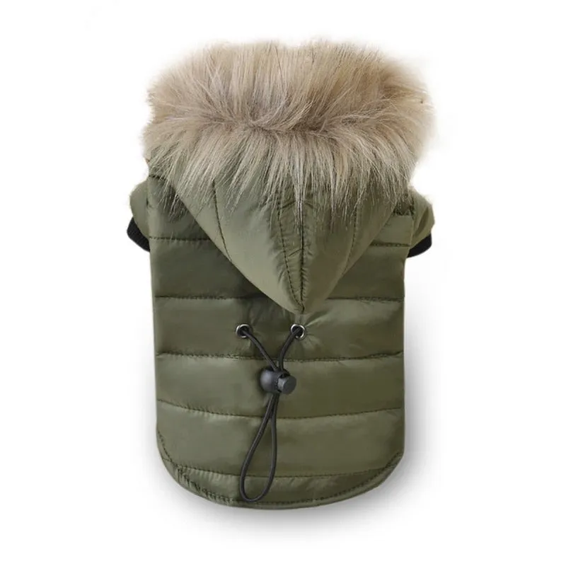 Insulated Puffer Coat