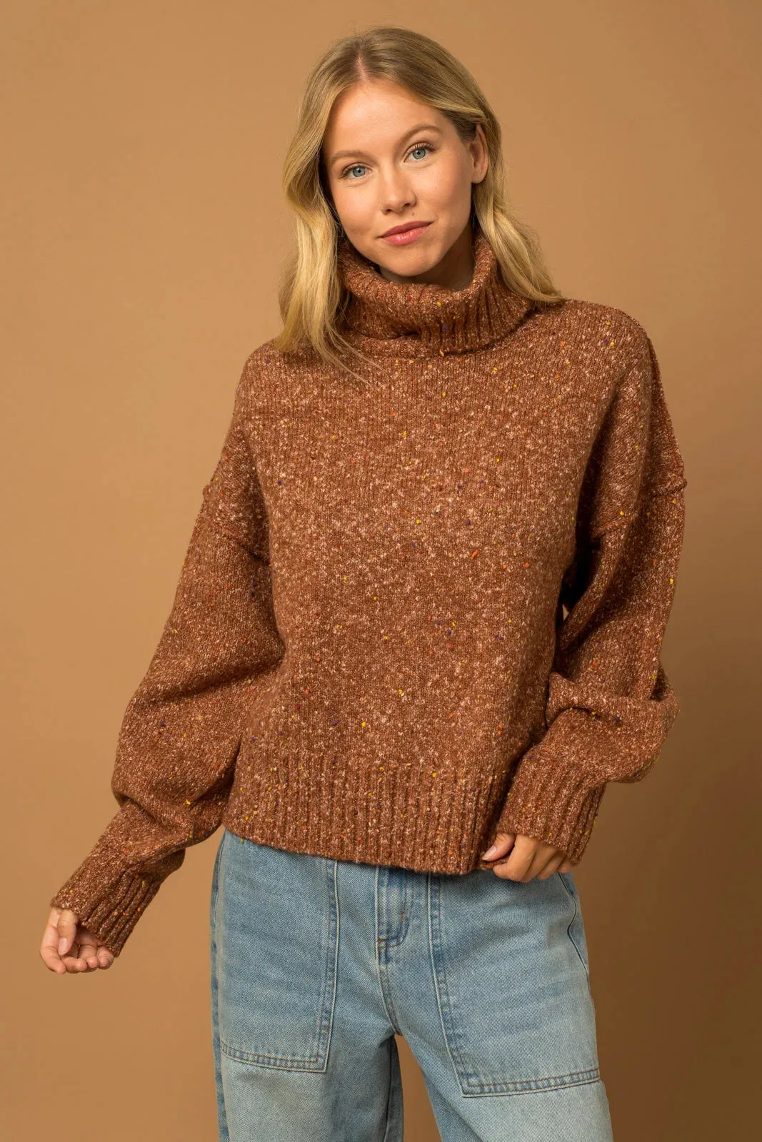 Oversize Turtleneck Rainbow Speckle Detail Sweater