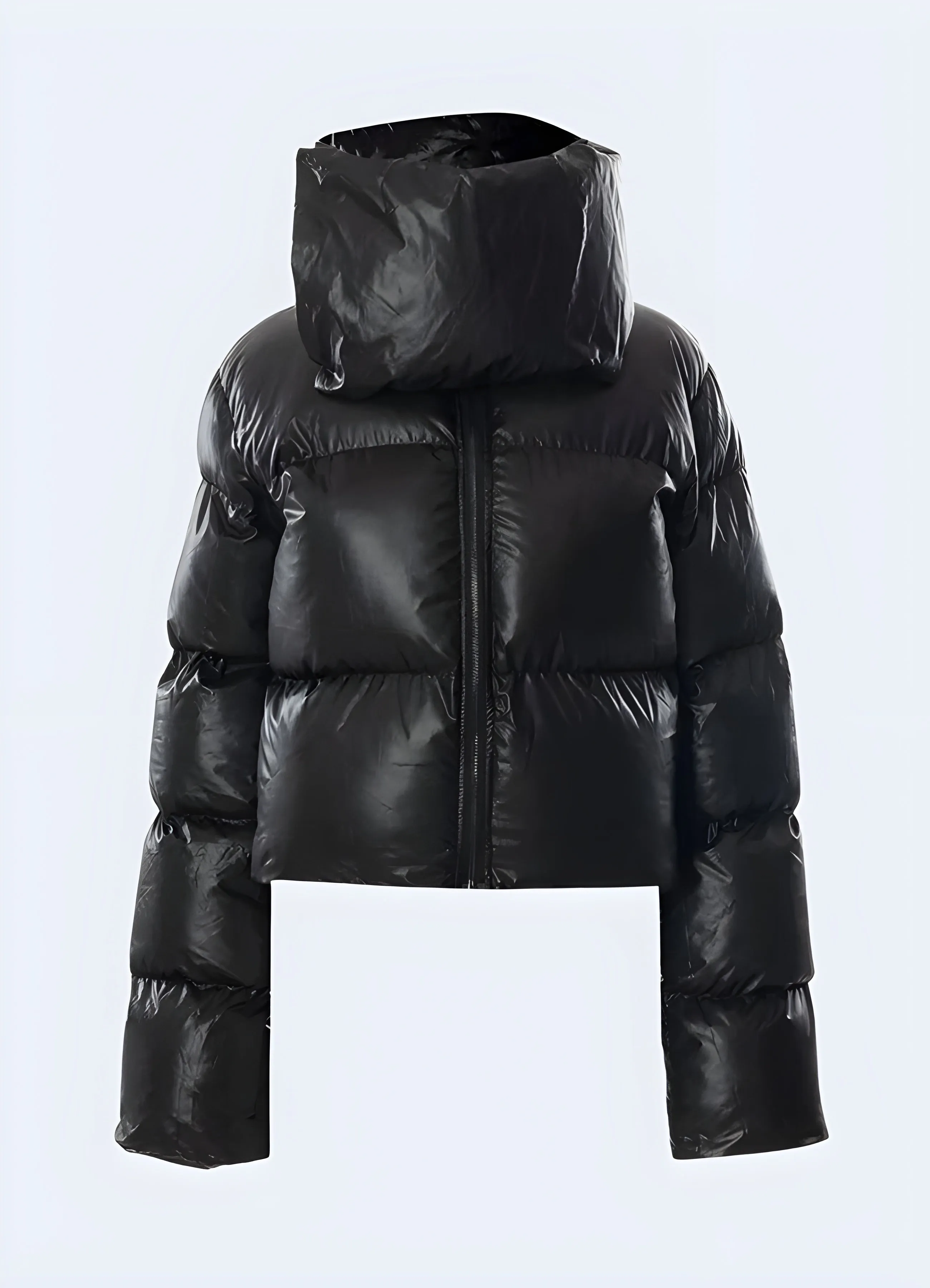 Winter Puffer Jacket Women's